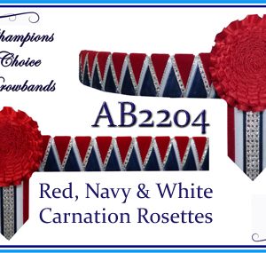 AB2204