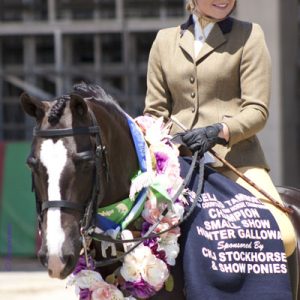 Hunter Horse Garlands