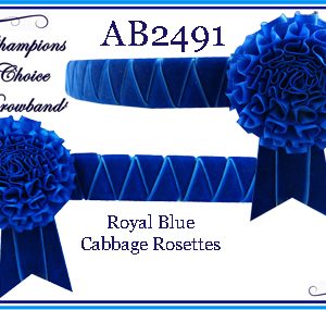 AB2491