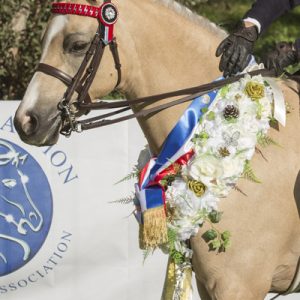 Show Horse Garlands