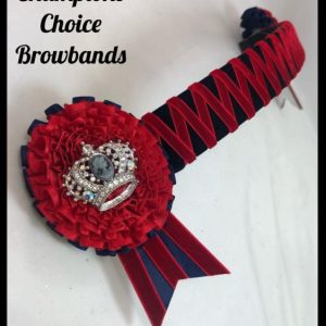 AB4281 Red & Navy