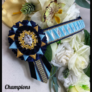 AB4122 Navy & Sky Blue