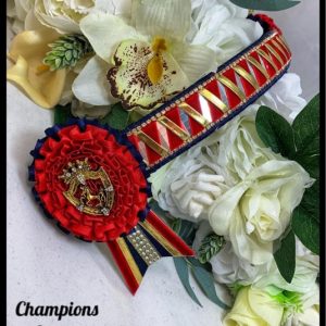 AB4406 Red & Navy