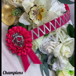 AB4410 Pink & Silver