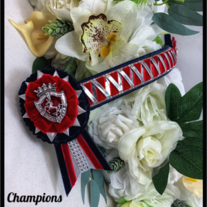 AB4441 Red & Navy