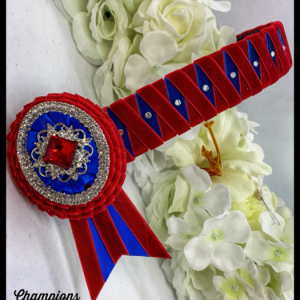 AB4529 Red & Royal